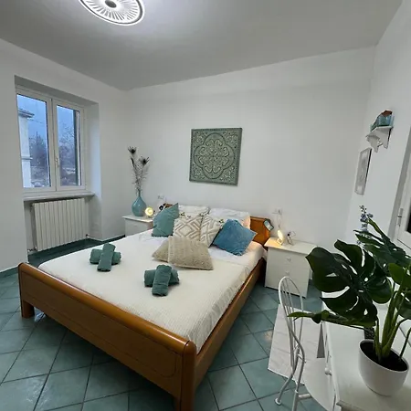 Wisteria Piemonte * Prasco