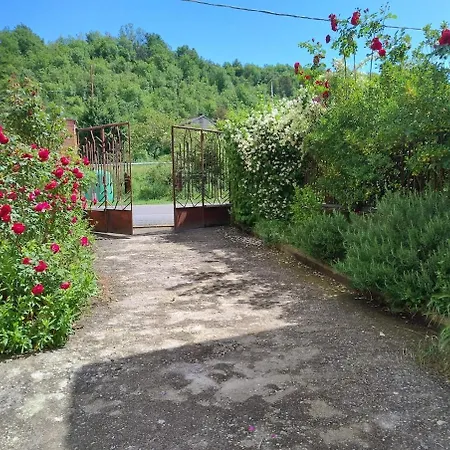 Wisteria Piemonte Holiday home Prasco