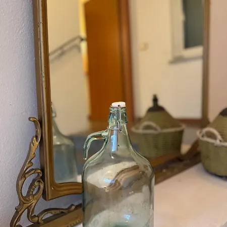 Wisteria Piemonte 펜션