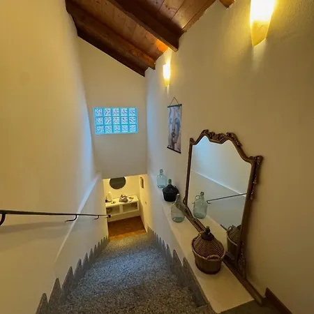 Wisteria Piemonte Prasco