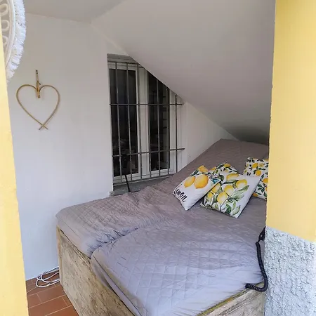 Wisteria Piemonte * Prasco