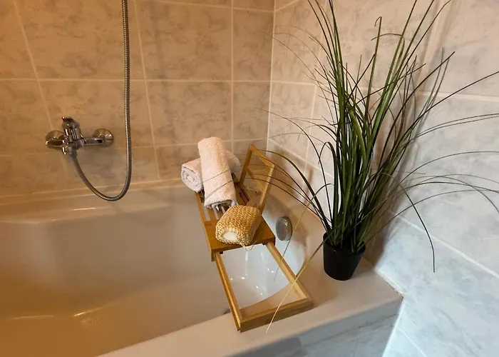 Wisteria Piemonte * Prasco