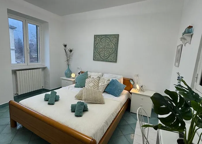 Wisteria Piemonte * Prasco