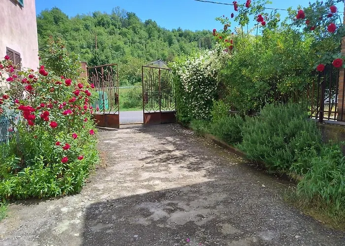 Wisteria Piemonte Nyaraló Prasco