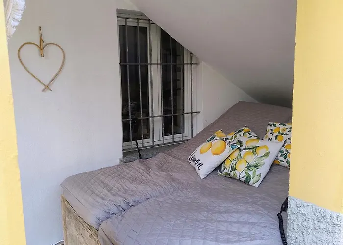 Wisteria Piemonte * Prasco